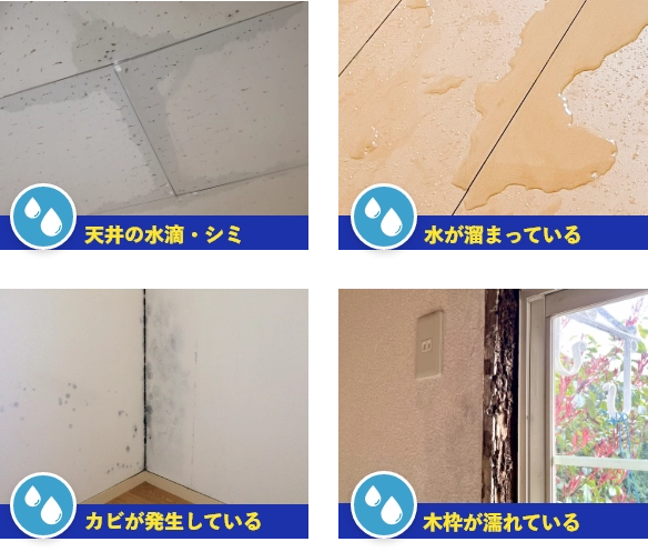 雨漏りの症状